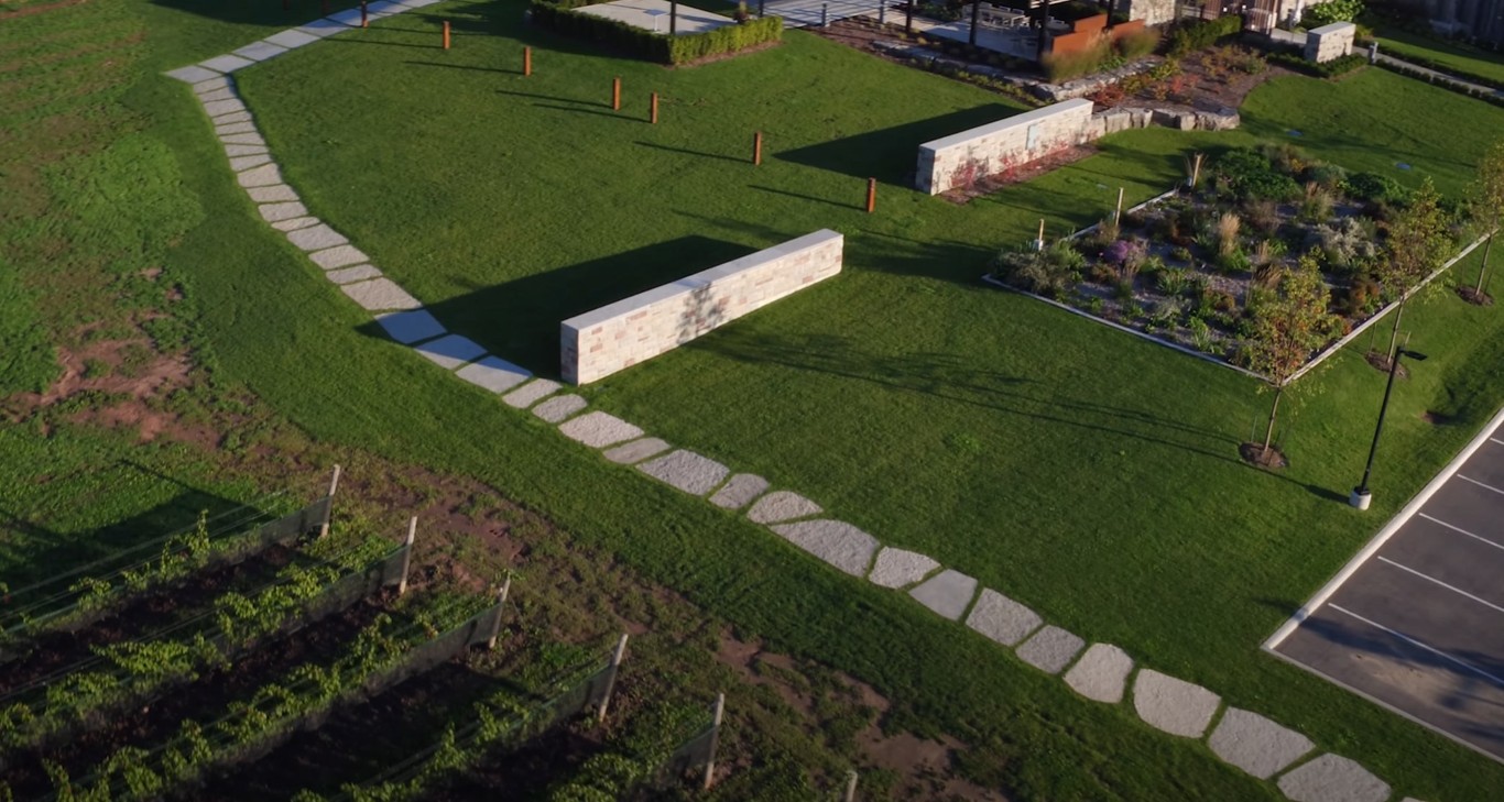 Aerial view of curved stone retaining walls and lawn installation