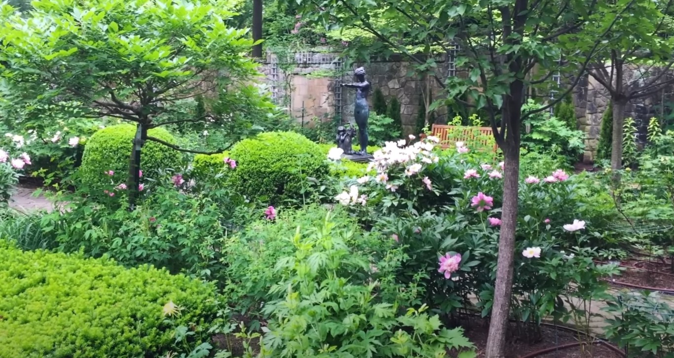 Beautifully designed garden with mature plants and stone pathway