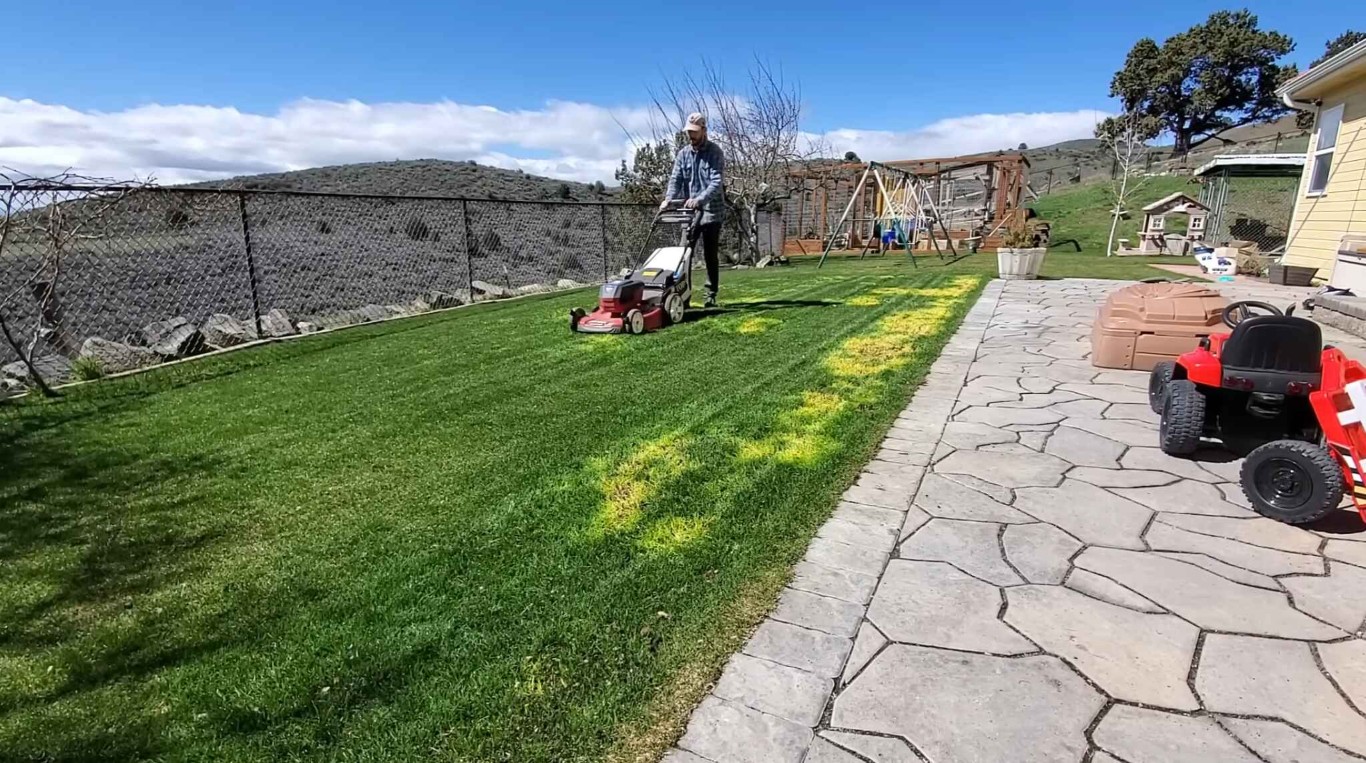 Professional lawn mowing service in Glendora, CA